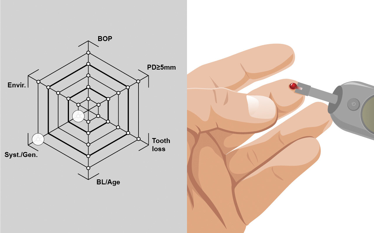 Systemische Faktoren